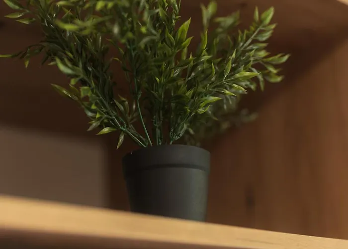 Terraceview Apartment *